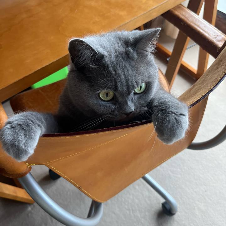 F112af2a b528 4c7a be2f b91ef054bed9 1665660435199