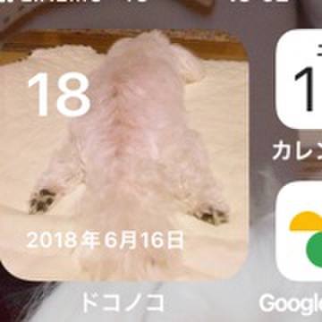 F11337c2 4975 448a 91e4 e6cbbecbc7c9 1655528040803