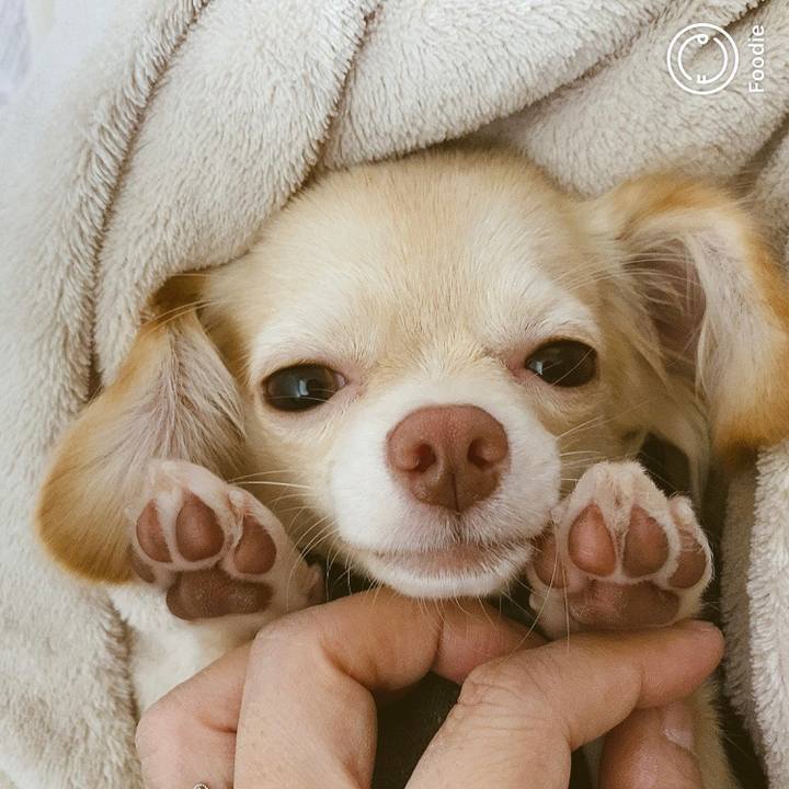 F11365ff 9501 486f 99d6 56a7623e23a3 1602195230864