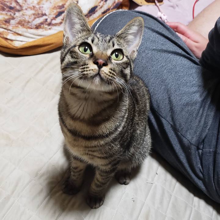 F1136e4f 2073 458c 9886 b0fba517a173 1546787306107