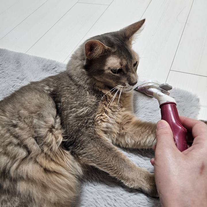 F1137a3a 528f 432e b671 e5009c7880ad 1713611941984