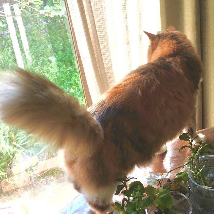 F1138b29 698f 4e53 bfac 91cbf5f305e4 1557697707553