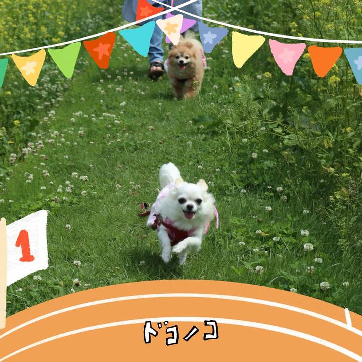 F113ac09 9d71 4ba3 8a47 43bd2261b0ac 1761296854017