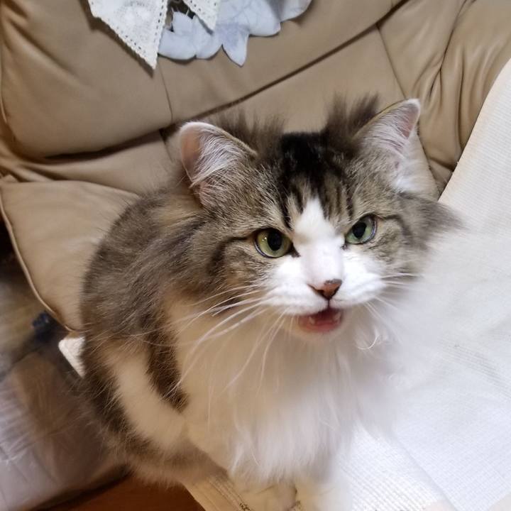 F113c4fe ad05 4814 a06f 82af1c4cc6b0 1548845784597