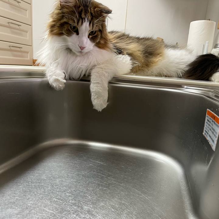 F1143371 063f 4b9e 9ecf 1fa5101fc520 1658317479778