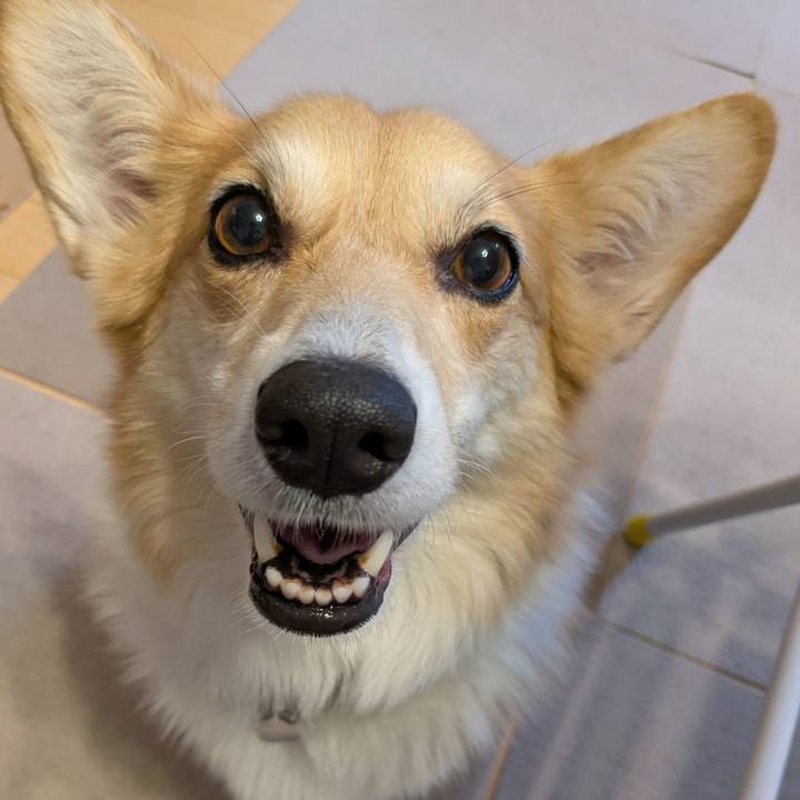 F11444cb 5f36 47da 9060 ce2916727531 1764021813578