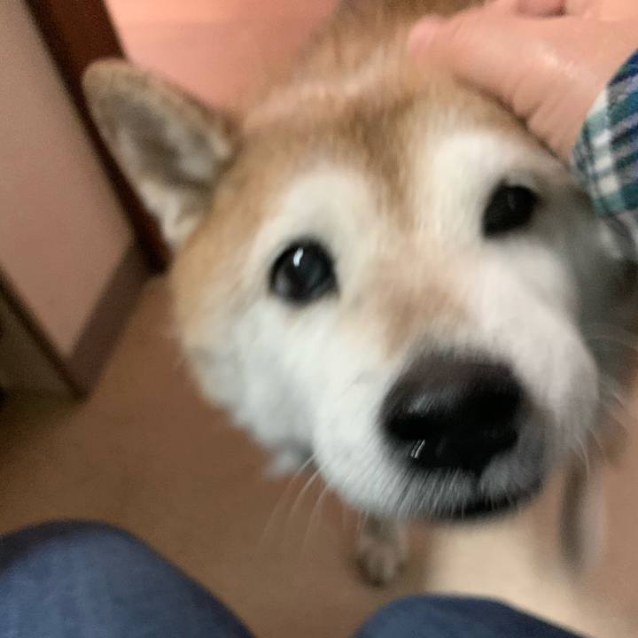 F1145d98 50ec 4bc2 9144 633dd1c20364 1581776925322