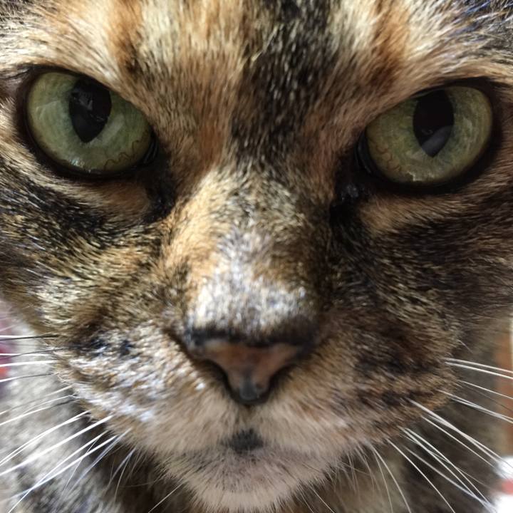 F11484ff fc1d 46ec 8d82 2d711a5a1724 1579002823499