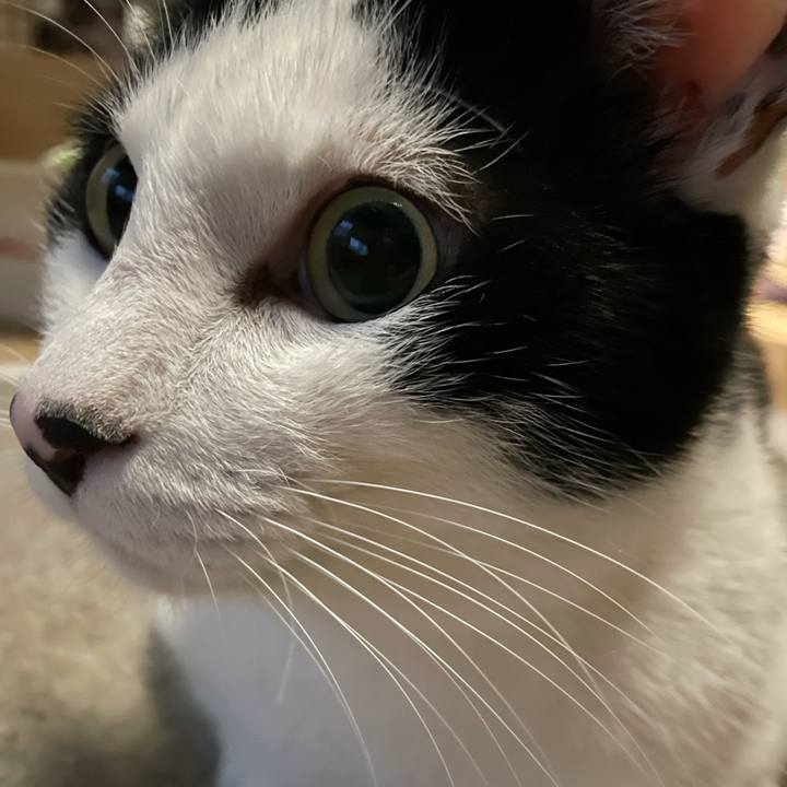 F114aded bdca 466f a49d 48efad387946 1618689656993