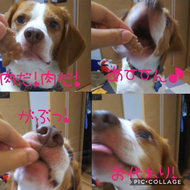 F114fa60 64c2 4c27 8f9f a3300d8f2abf 1594815200331