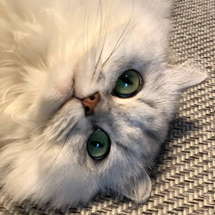 F114fd9e f2bb 4ee7 9c1a 41a24c8dc8e9 1569043336202