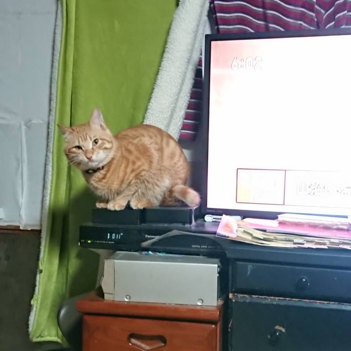 F115018d dfcc 460f ac3a c74ed35d24df 1644442117283