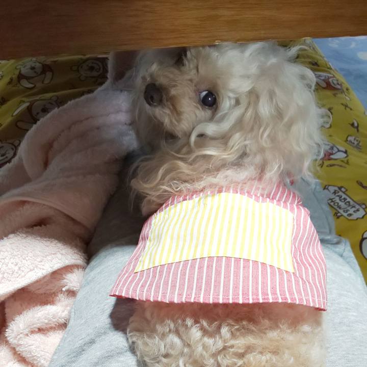 F1154524 8814 4c75 a662 ec0fd84902ec 1630756606880