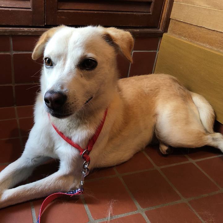 F1158260 b37a 45aa 9fc1 260784c95f70 1623316544261