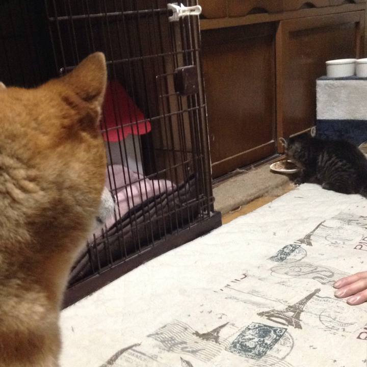 F115ea6a c0b2 4629 962c f64f741b569e 1527981587286