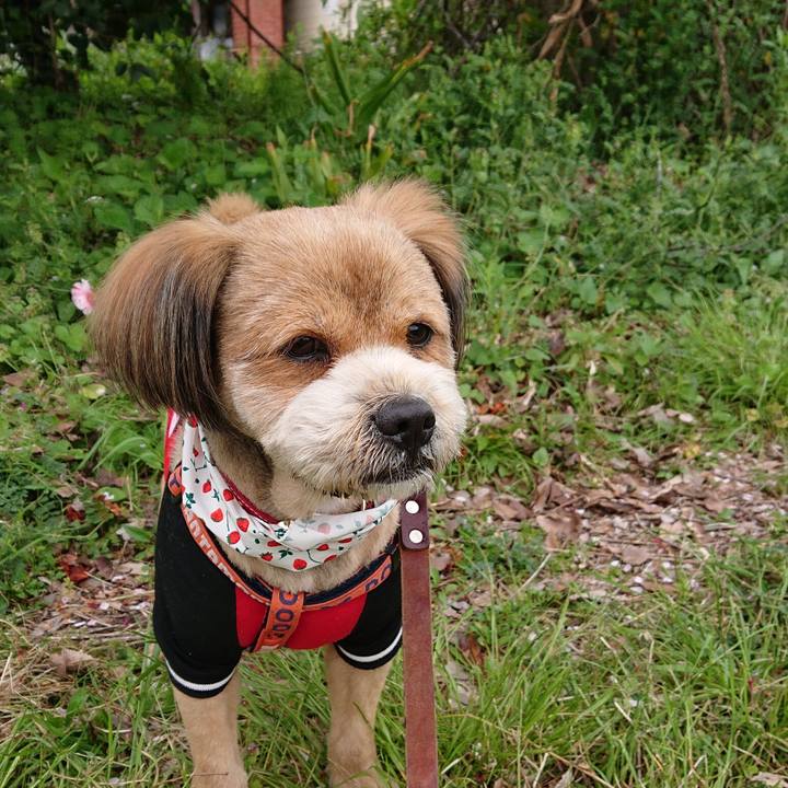 F115ed70 da69 48ea af40 0451286a4828 1555213376932