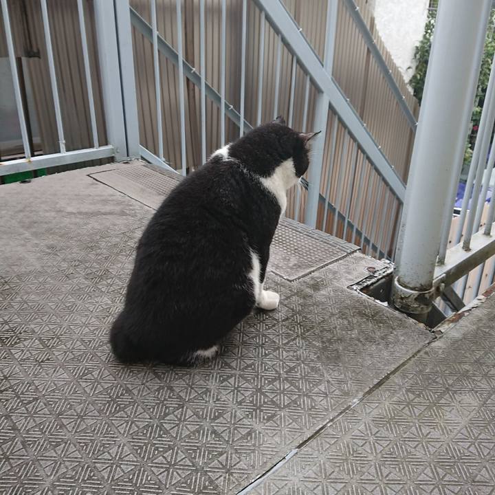 F115f284 33f2 4a4e ba22 21574804772e 1662074650811