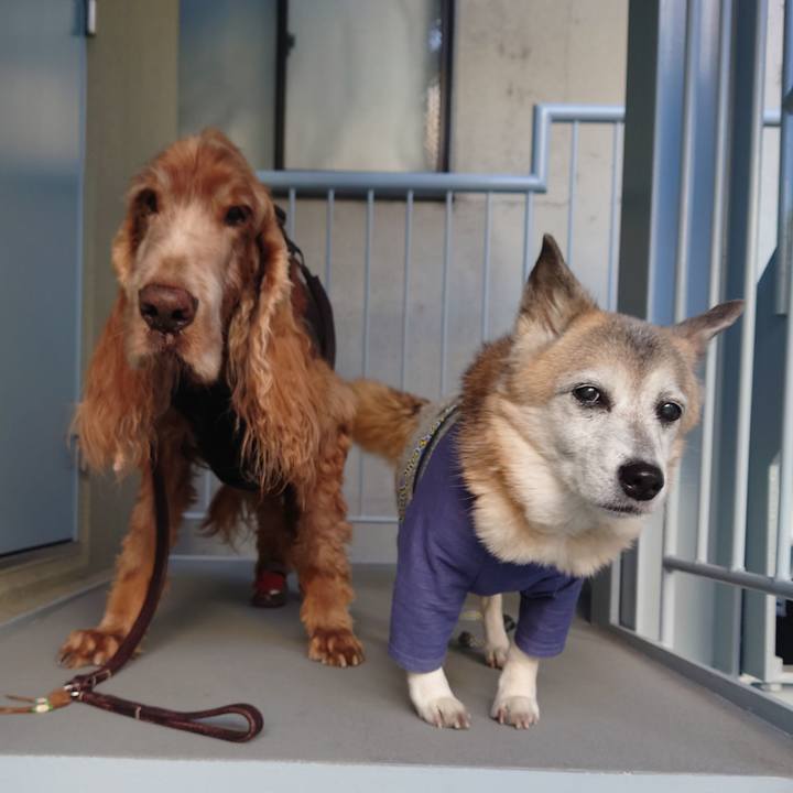 F115f6ca 68d8 4183 8a59 25f0c9eab8cb 1740266329743