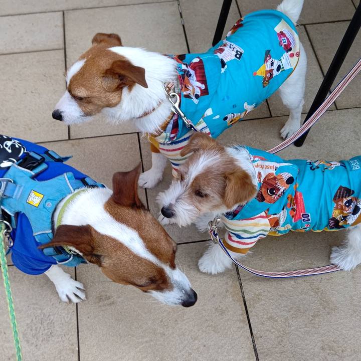 F1160960 bb47 4d54 8de8 5475d4240c7a 1618916458733