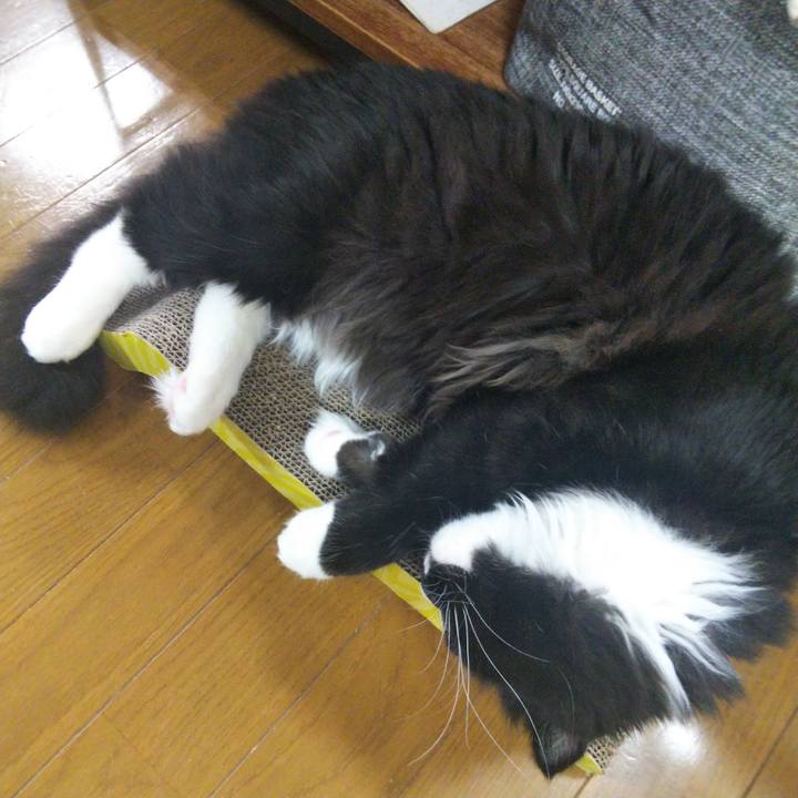 F116332e e662 4283 927e 6af13a8a195e 1648474075320