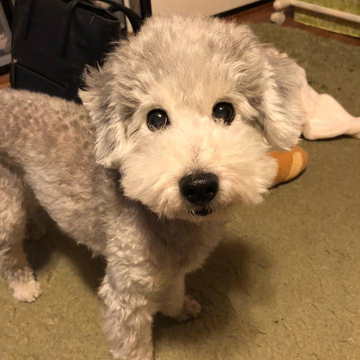 F1164bf9 cbbf 4b67 a915 46a367950ddb 1536758494227