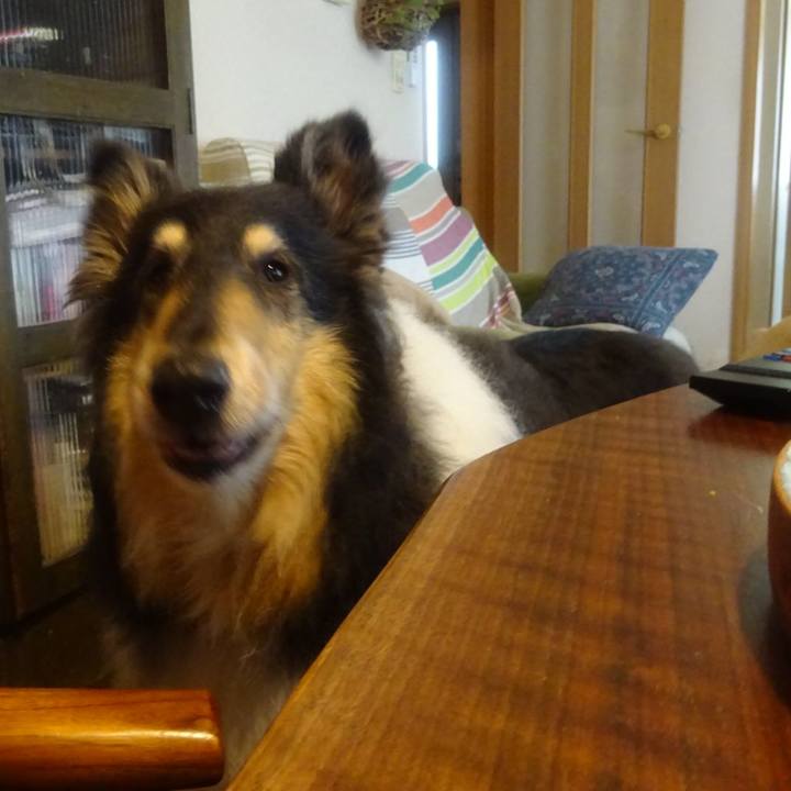 F1167c76 52da 4c45 9c02 fc58dfcc4db2 1590591053605