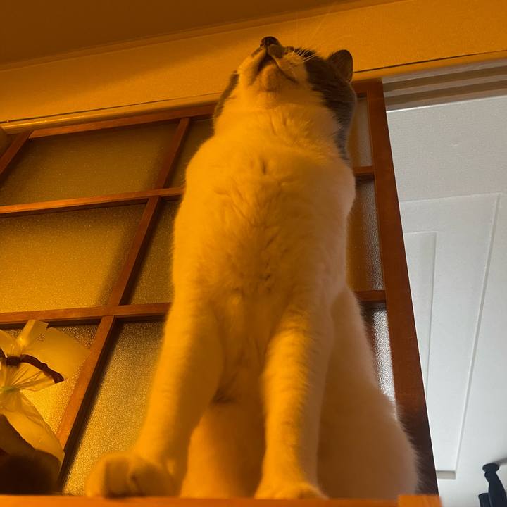 F1168153 f99a 4b3d a06b 7dbe1c9ec6c1 1742547242170