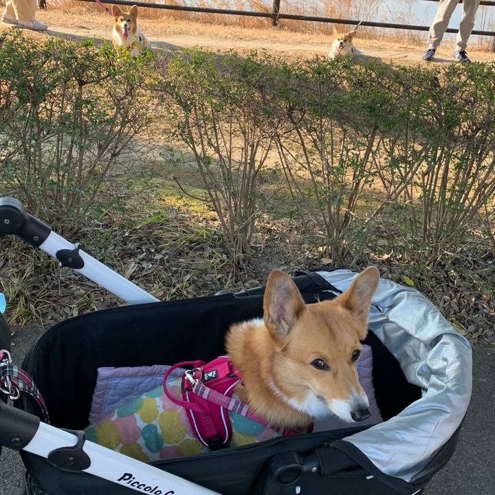 F1169d2c bd84 4017 8809 568bb3310d8c 1609058992760