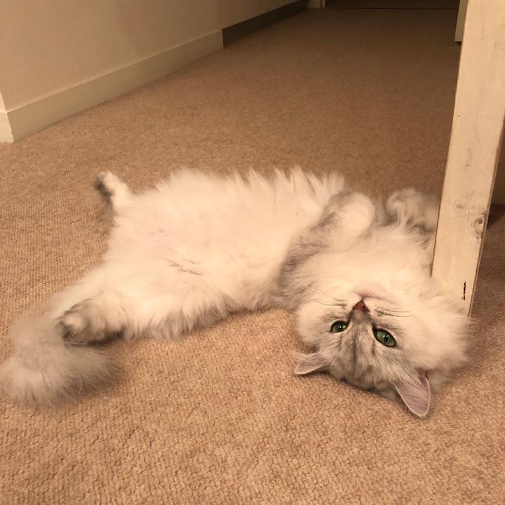 F116e363 3f78 4378 8ecd 2a2f7d94be1d 1533042531238