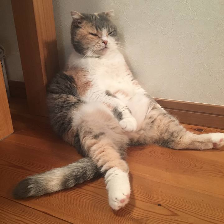 F116ff39 c1e6 4a79 bb57 139eb0bf9480 1550995107415