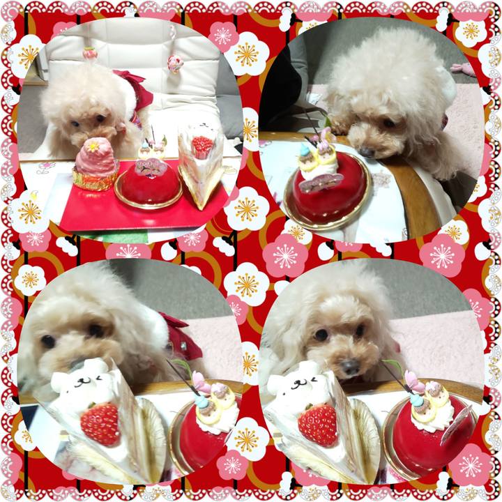 F11710f0 c752 4549 9812 5addad17766f 1583239111633