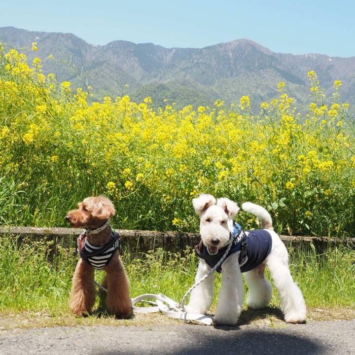 F117530d f425 488a b247 f1d37c9129d7 1556949438805