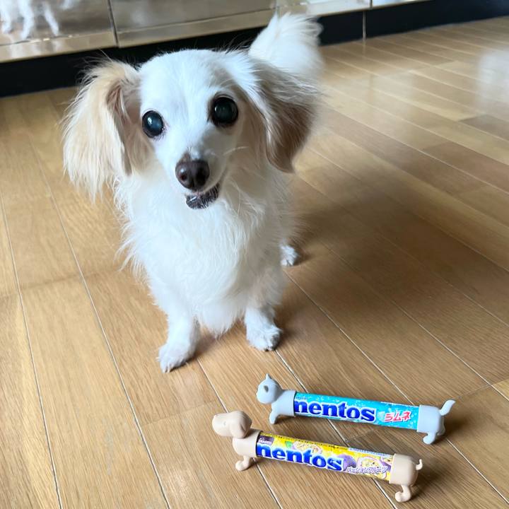 F117a0cd ed42 430b 936f 2be93ec23b15 1721544293833