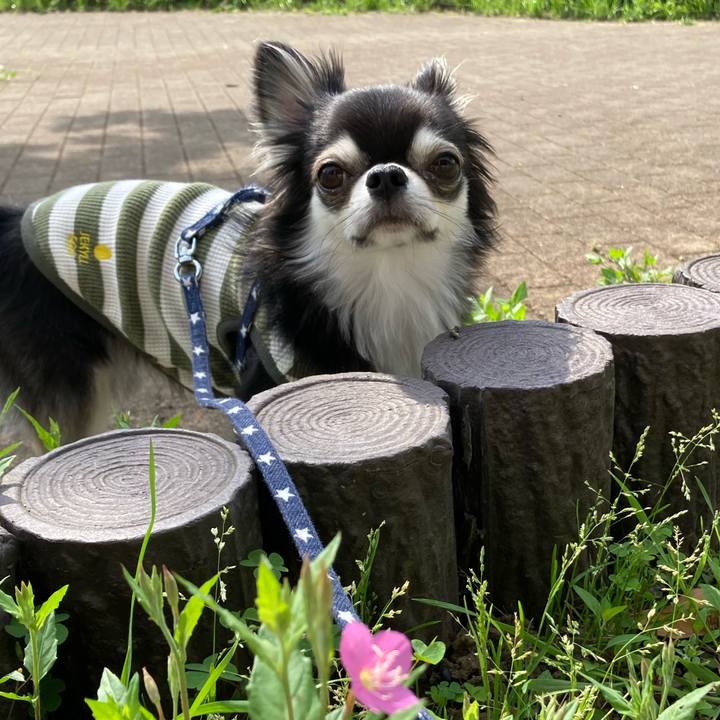 F117a8af 56fa 4868 a9fd 9414f7bdd2e8 1651837752378