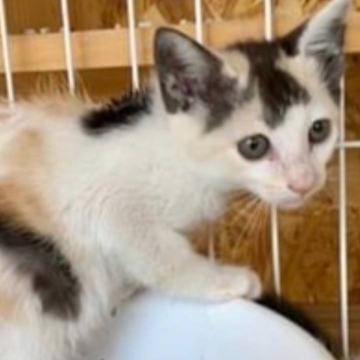 F117e361 b195 4d40 a66c 9873904ad9b1 1752787016767