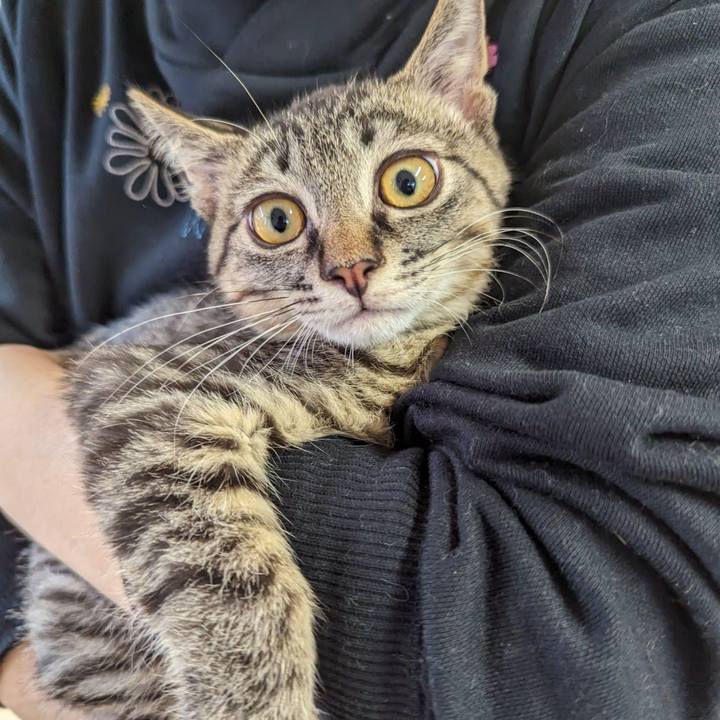 F1183e02 9ceb 4e8f 8e7e 20206011df66 1702957578448