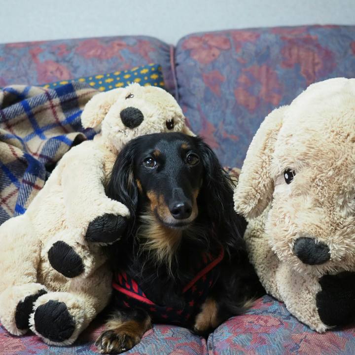 F1184859 89d1 4012 93b6 6fff9dbd472b 1552373522223