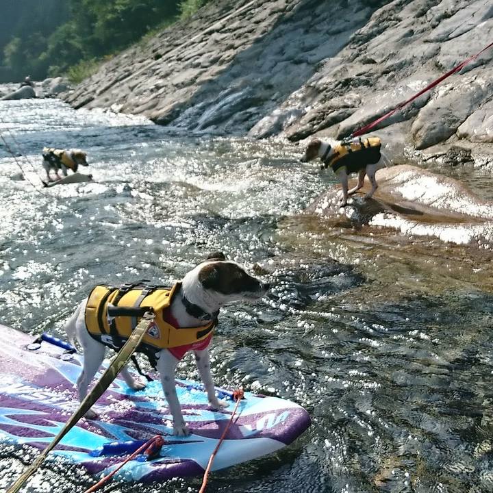 F11877f7 8114 4e39 a486 762b325dff4f 1533428593454