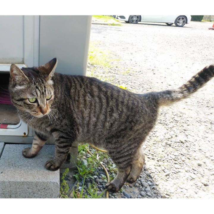 F1189156 f617 42d9 9949 c2a49f3c76c2 1618219329111