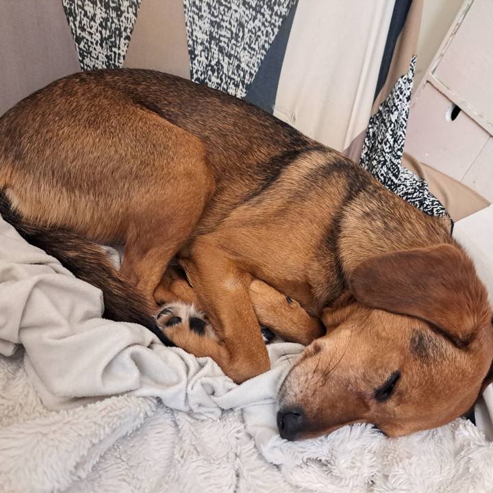 F11893e9 d136 4f40 b639 c6031c500258 1766455743026