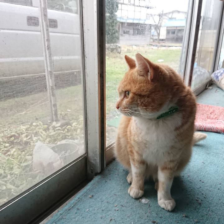 F118e21f 7b56 46ce ad37 b625440907d4 1581839155605