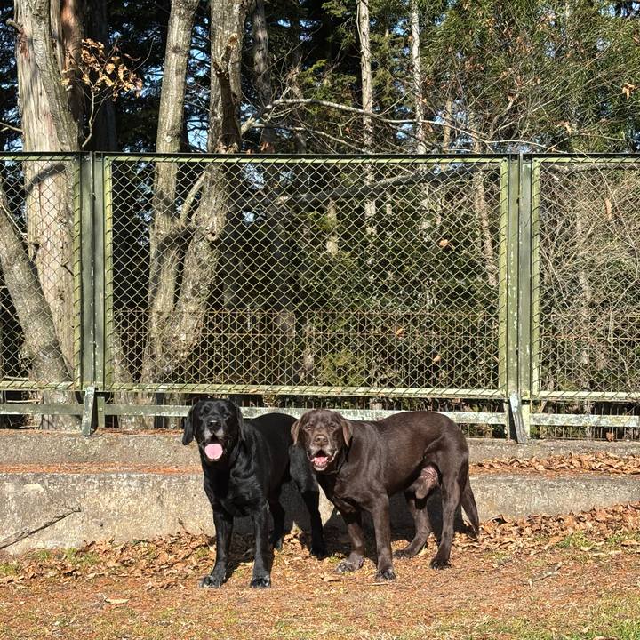 F118e77f 9798 42cc 813e 91040aa07c56 1768879860704