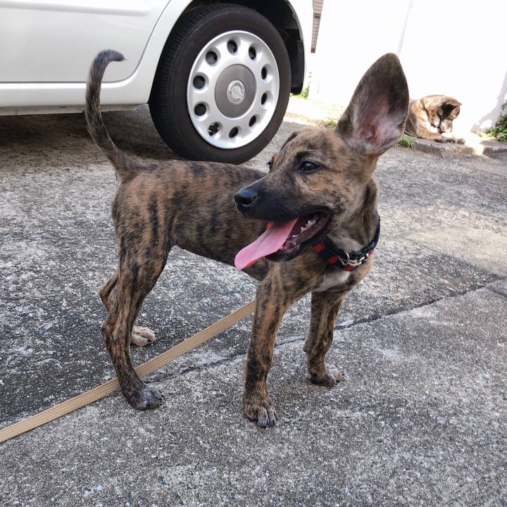 F118f308 dc3d 4b63 9407 542842bc7030 1568100663906