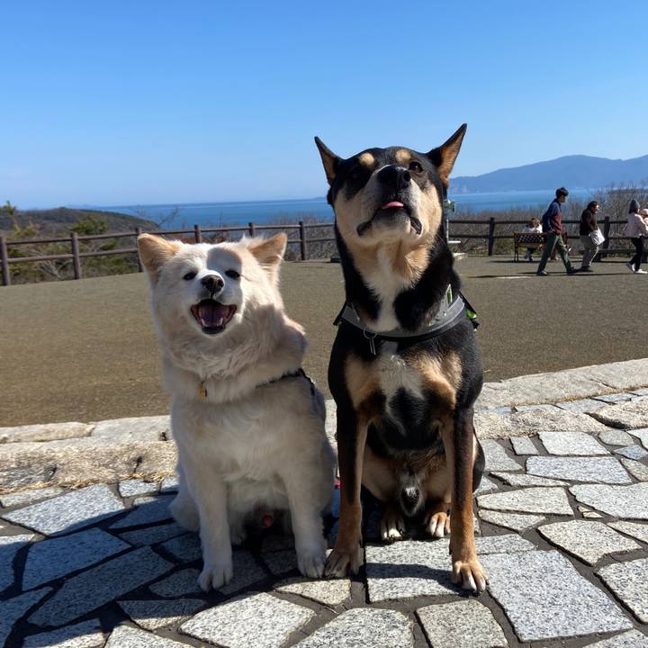 F1193b23 afa1 474e ade7 2483b38df7a9 1678097769655