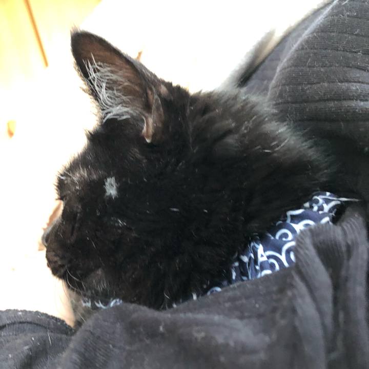 F11955db de4e 4f4e b4de ebe5c7ca3c7a 1561151646313