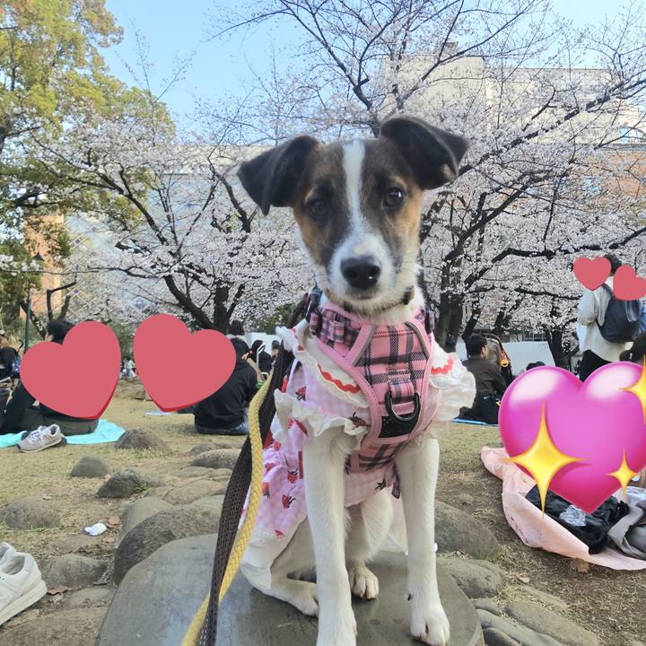 F1198b8f 0849 4ef4 80aa 6194fc240b24 1774786299217