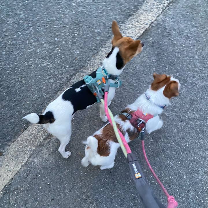 F119ebeb 810b 4e1d 853d f59640ab39ca 1771280192219