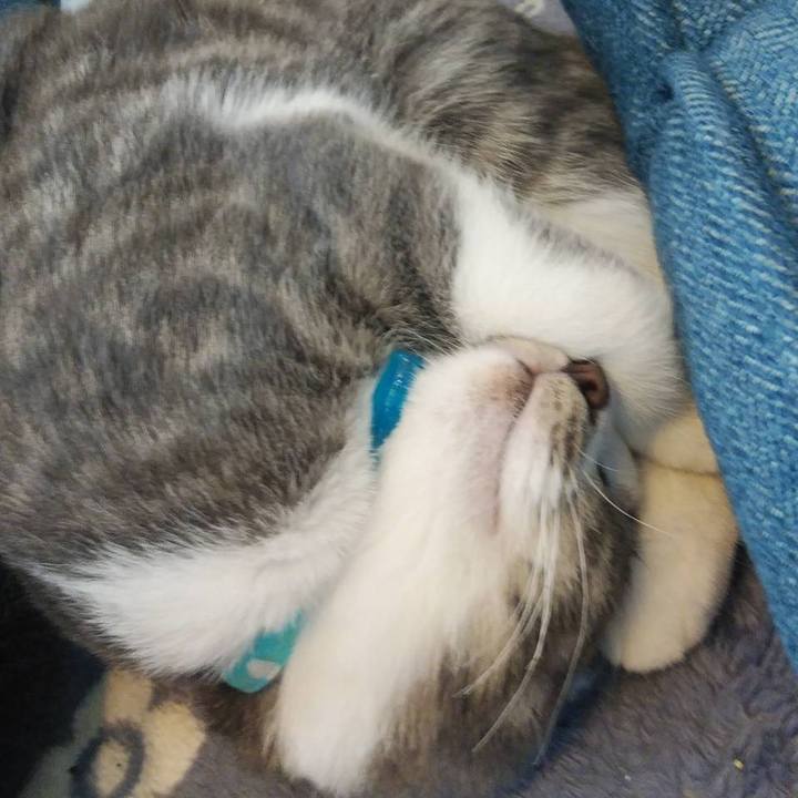 F11a3bdd d750 4675 b1a4 fc5e2e3a4b57 1568003922932