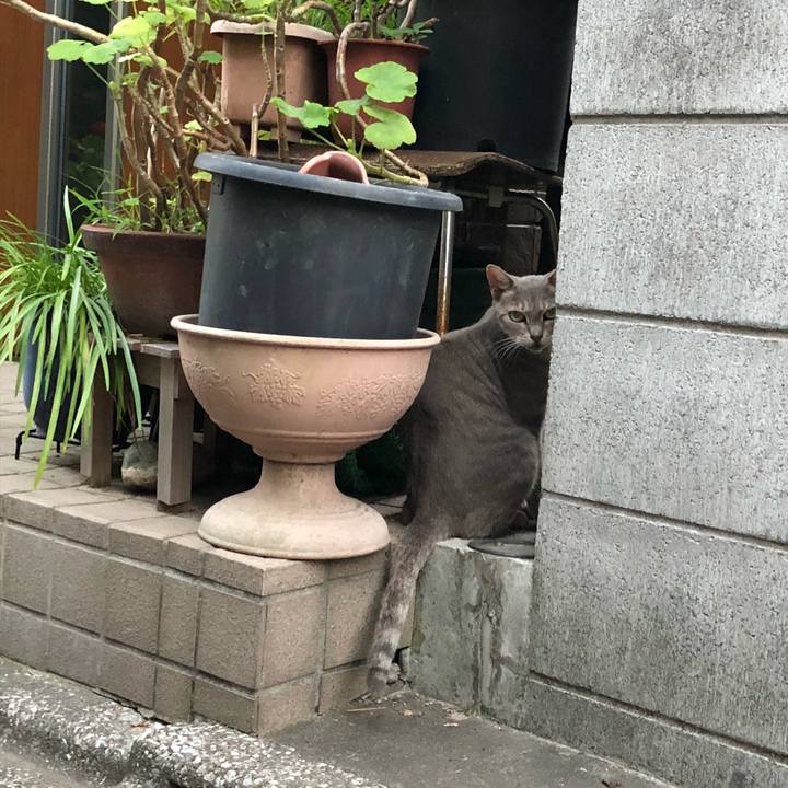 F11a4165 265f 444a 964f 2f7d05fcb012 1533708452098