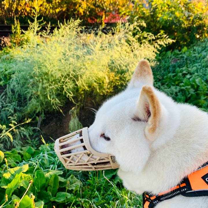 F11a5018 ca4b 4d71 b6ed c4235d00a3bf 1634160684946